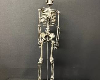 Silver Metallic Tone Skeleton on a Stand