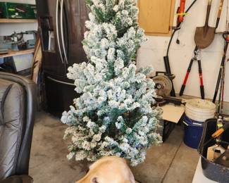 Flock Christmas Tree