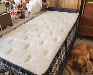 Adjustable power twin bed with Denver mattress
