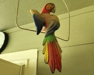 Mexico parrot, thete are 2 more