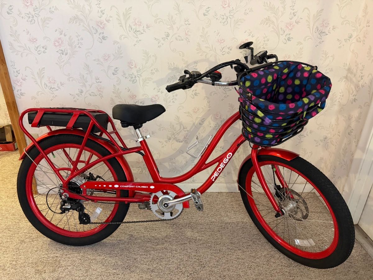 Electric Bike-Comfort Cruiser BRAND NEW