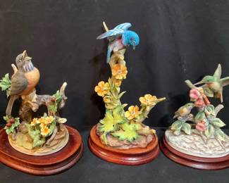 Birds by Andrea