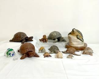 Cyrus Noble Sea Turtles Be Free