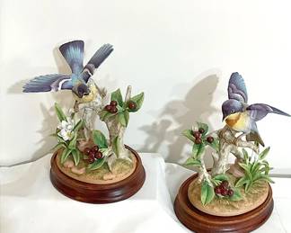 Andrea by Sadek Parula Warblers