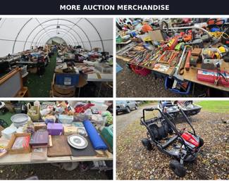 16 AUCTION ASSORTMENT