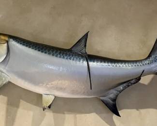 Large Wall-Mounted Tarpon Fish Trophy - Realistic Full-Body Saltwater Gamefish Display