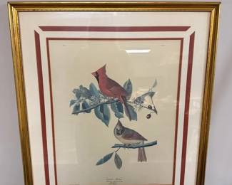 Audubon Cardinal Grosbeak Framed Print