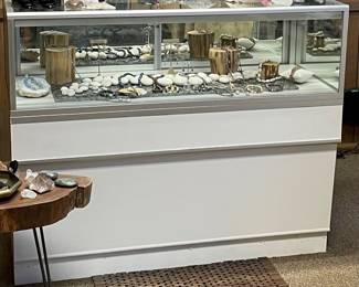 Large display case
