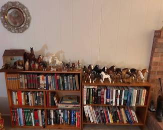 Beyers horses and many books