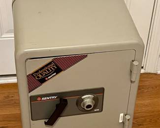 SENTRY MODEL 6310