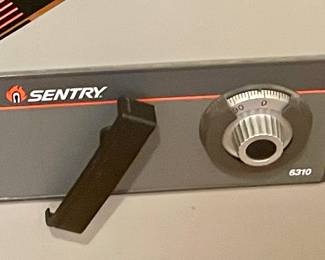 SENTRY MODEL 6310
