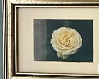 FRAMED FLORAL