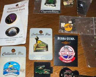 Travel and Destination-Themed Pins