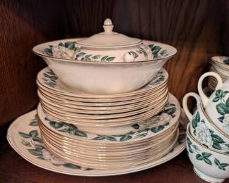Eggshell Nautilus china set