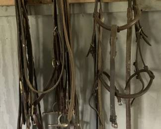 521 - Horse Bridals
