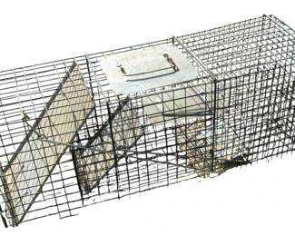 383 - Live Trap - 12 x 32 x 10