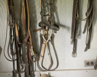 519 - Horse Bridals