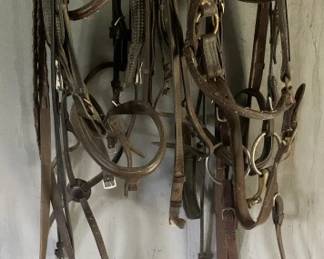 523 - Horse Bridals