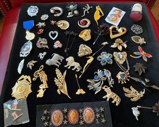 Costume pins