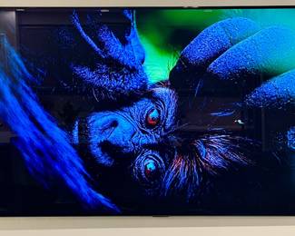 LG OLED 77" TV $900