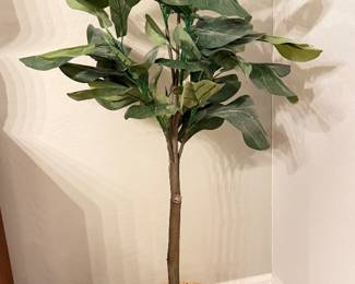 Fiddle Fig Silk Plant $35