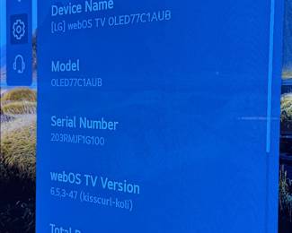 LG OLED 77" TV $900