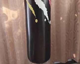 Freestanding Punching Bag with Gloves