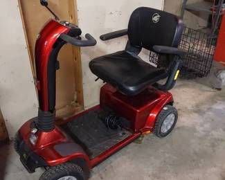 Golden Companion Electric Scooter