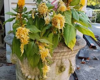 Concrete Planter with Grapes and Leaves