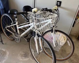 Bicycle Set Of Two Aragon Jamis