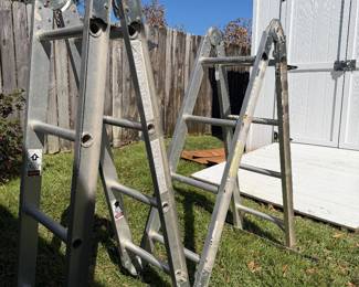 #45. $100 Extension ladder