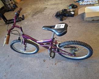 Lot 81: Purple Mt. Mystique Youth Bicycle