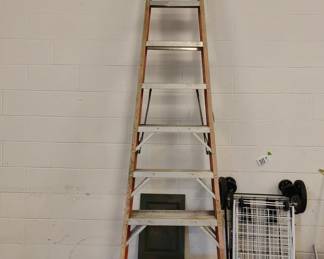 Lot 183: Werner Ladder