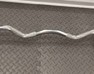 EZ curl bar with weight plates and collars