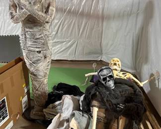 Assorted Halloween decorations