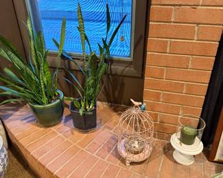 Snake plants in pots by a brick wall