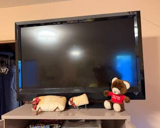 Flat screen television on a stand