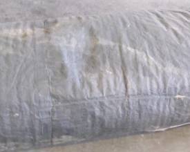 TARP