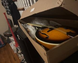 Mandolin