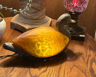 Lighted turtle