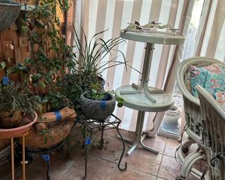 Plants