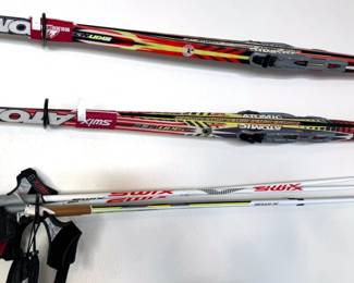 Cross country skis: Peltonen, Fischer