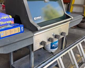 Kenmore propane grill, extension ladder