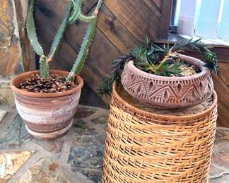 Many live plants! The euphorbia on the left is approximately 6 feet tall and wouldn't fit in the photo! Please bring your own labor + supplies to transport it (it's been leaning against the wall for support, needs a board/trellis behind it).