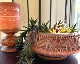 Haworthia in ceramic planter
