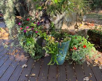 Many planters 