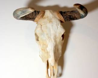 Steer Skull