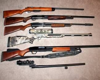 Nice Selection of Firearms