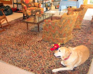 large Room Size Area Rug