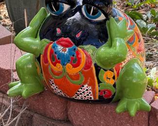 Garden Frog